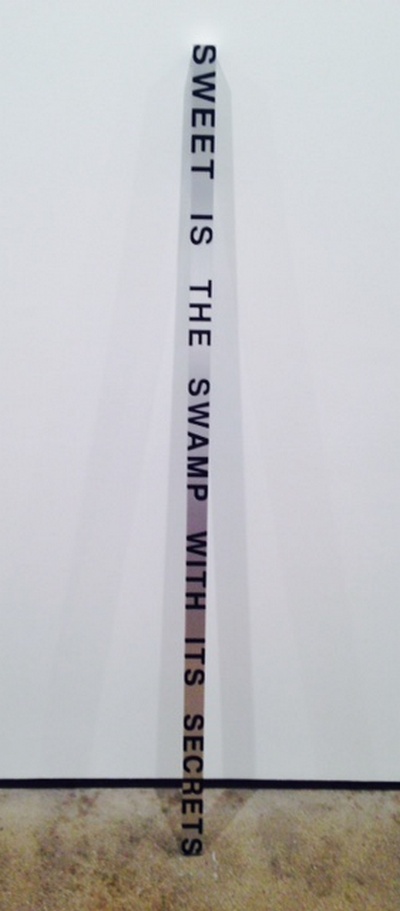 Roni Horn Key and Cue No. 1740 SWEET IS THE SWAMP 