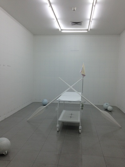 Libia Posada - Patient 002 - Installation